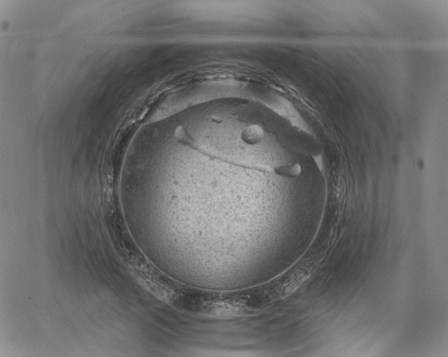 X0000061740737200512091610