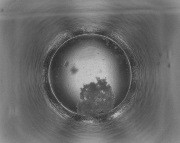 X0000061740738200512091610