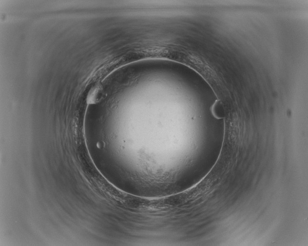 X0000061740739200512091610