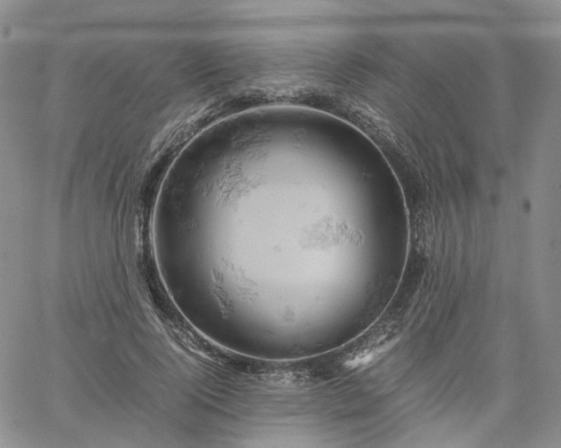 X0000061740740200512091610