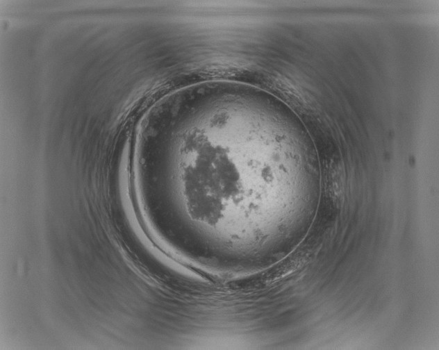 X0000061740742200512091610