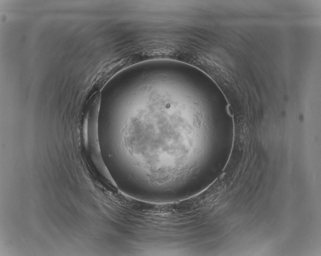 X0000061740743200512091610