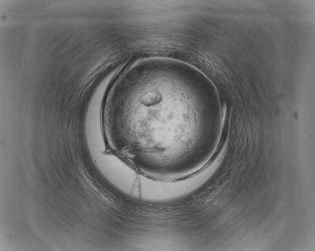 X0000061740744200512091610