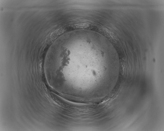 X0000061740745200512091610