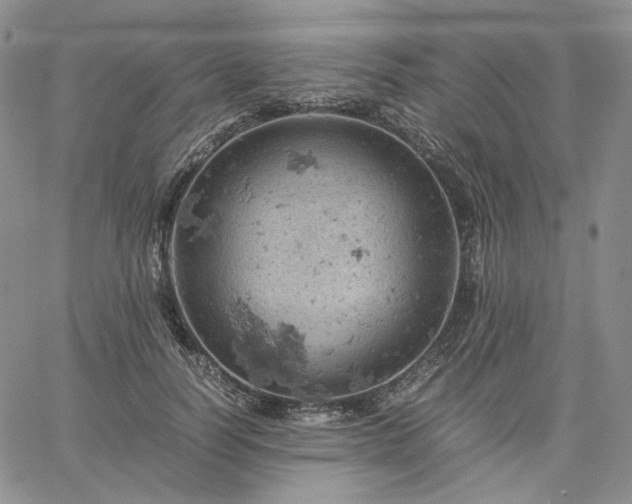 X0000061740746200512091610