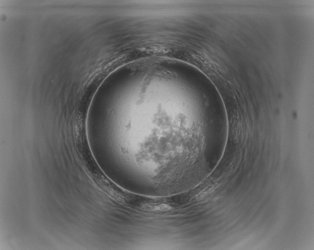 X0000061740747200512091610