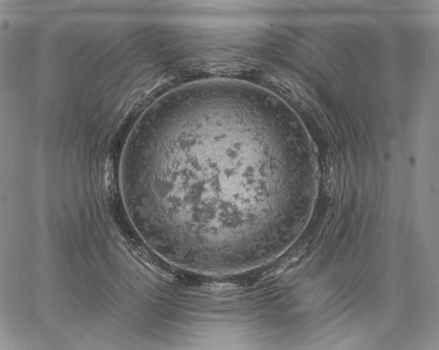 X0000061740748200512091610