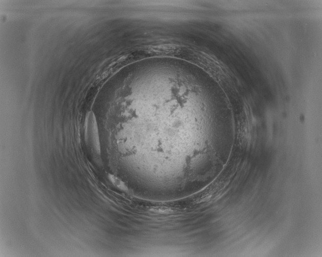 X0000061740749200512091610