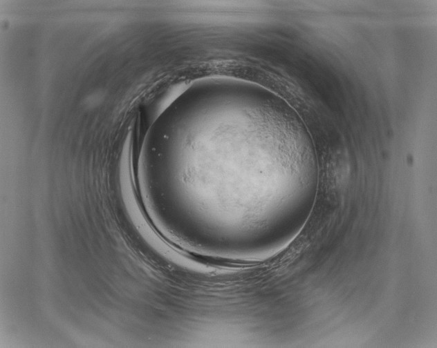 X0000061740750200512091610