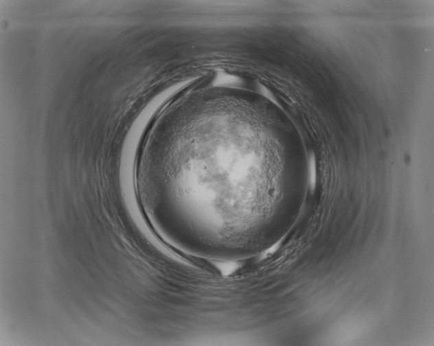 X0000061740751200512091610