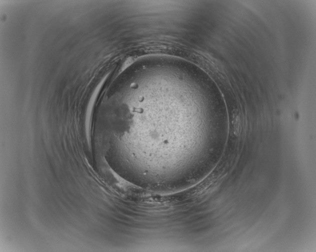 X0000061740753200512091610