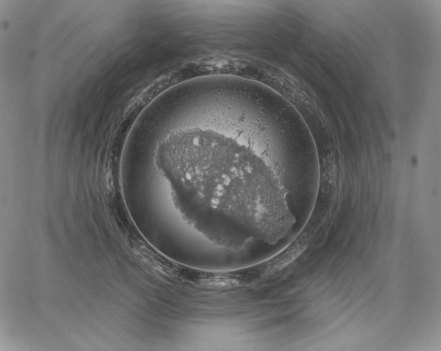 X0000061740754200512091610