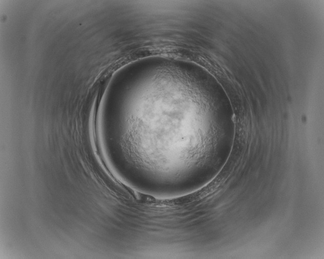 X0000061740755200512091610