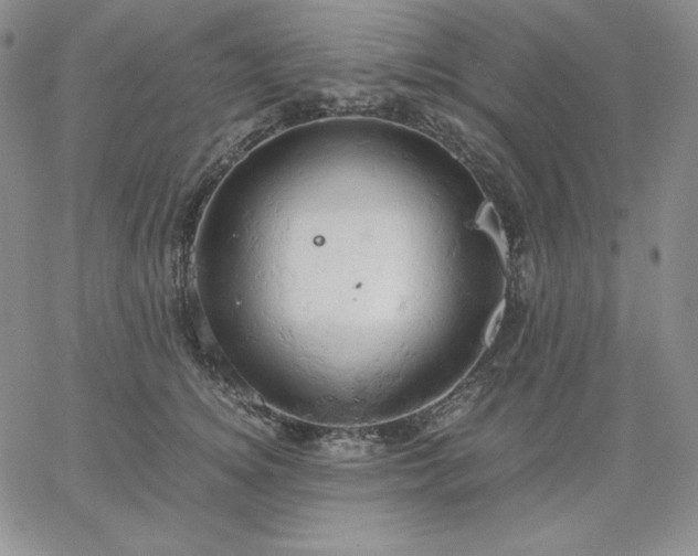 X0000061740756200512091610