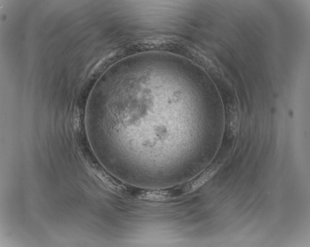 X0000061740758200512091610