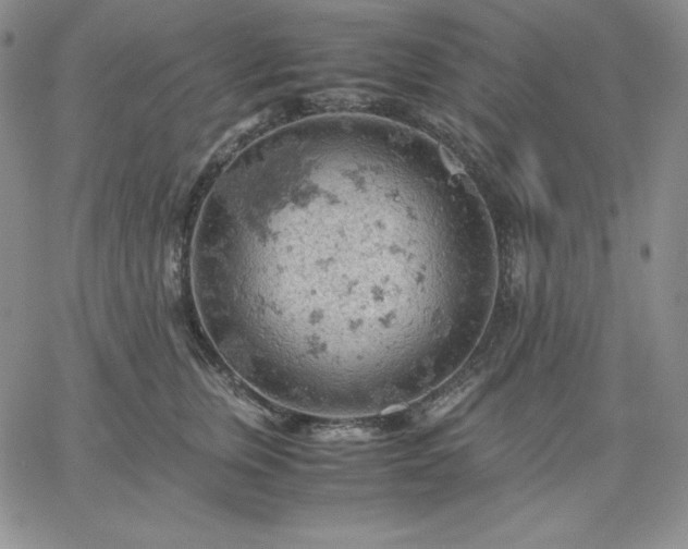 X0000061740759200512091610