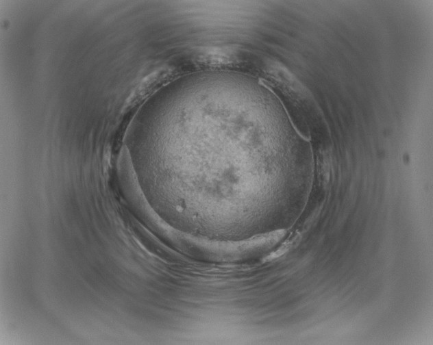 X0000061740760200512091610