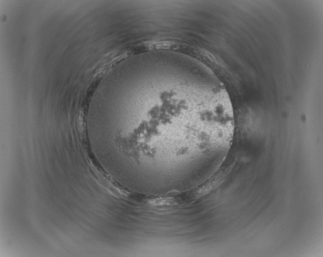 X0000061740761200512091610