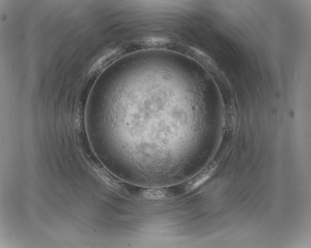 X0000061740762200512091610