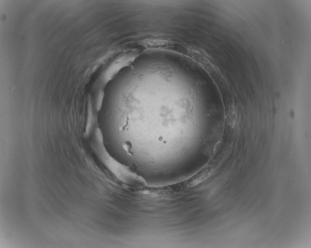 X0000061740763200512091610