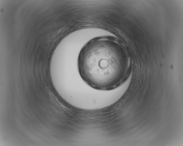 X0000061740764200512091610