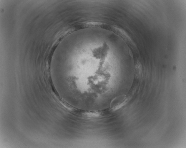 X0000061740765200512091610