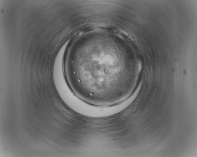 X0000061740766200512091610