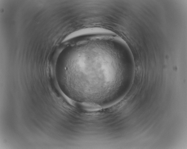 X0000061740767200512091610