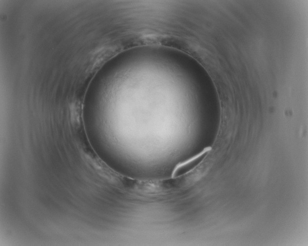 X0000061740768200512091610