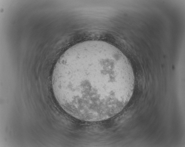 X0000061740769200512091609