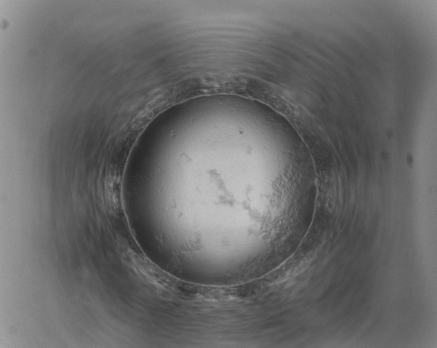 X0000061740770200512091609