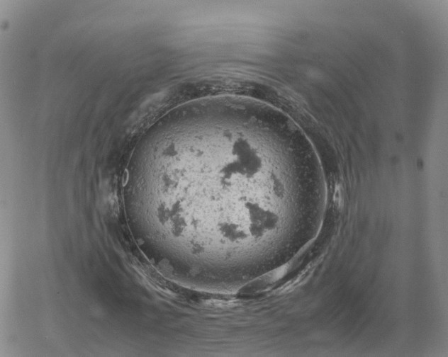 X0000061740771200512091609