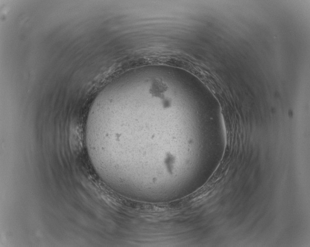 X0000061740772200512091609