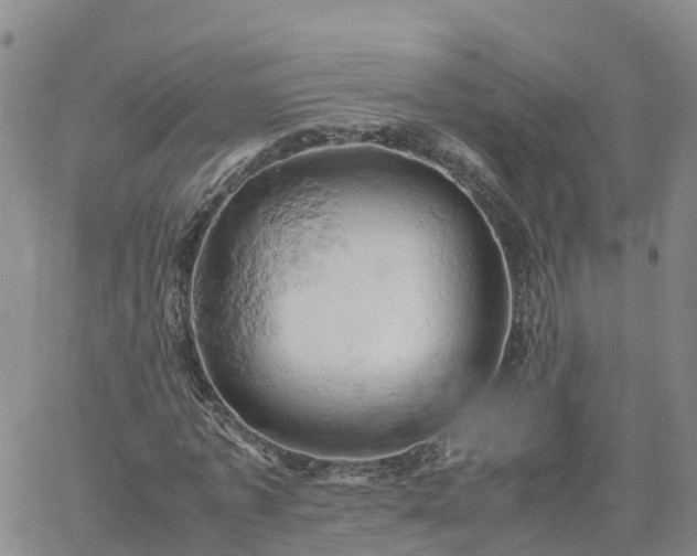 X0000061740773200512091609