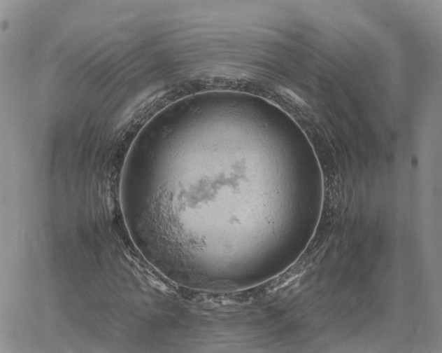 X0000061740774200512091609