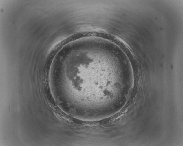 X0000061740775200512091609