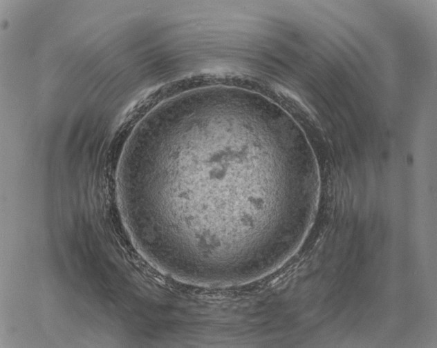 X0000061740776200512091609