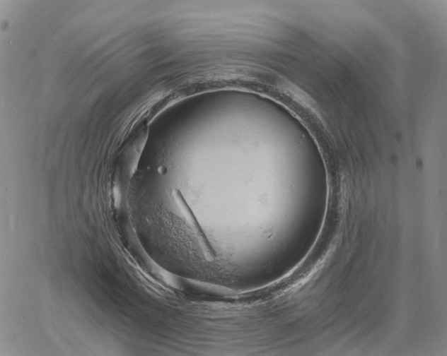 X0000061740777200512091609