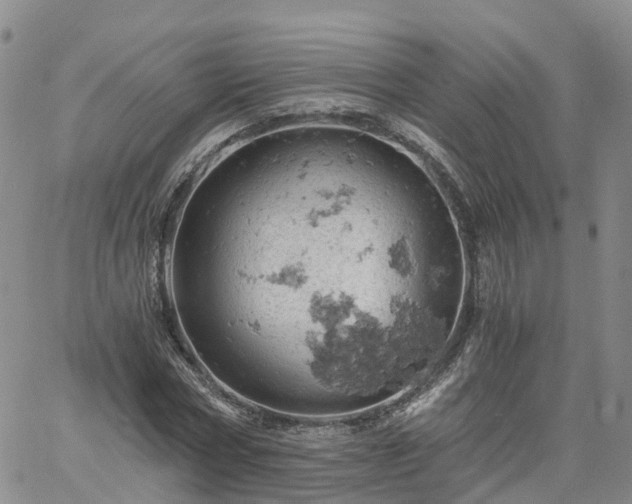 X0000061740778200512091609