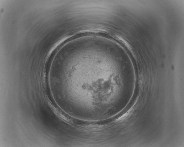 X0000061740779200512091609