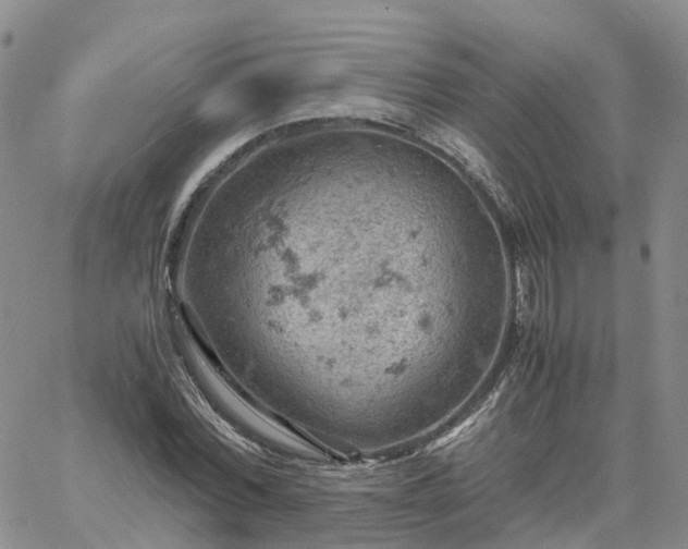 X0000061740780200512091609