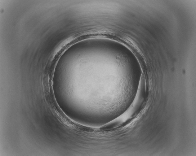 X0000061740781200512091609