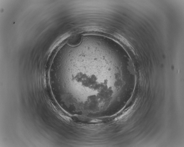 X0000061740782200512091609