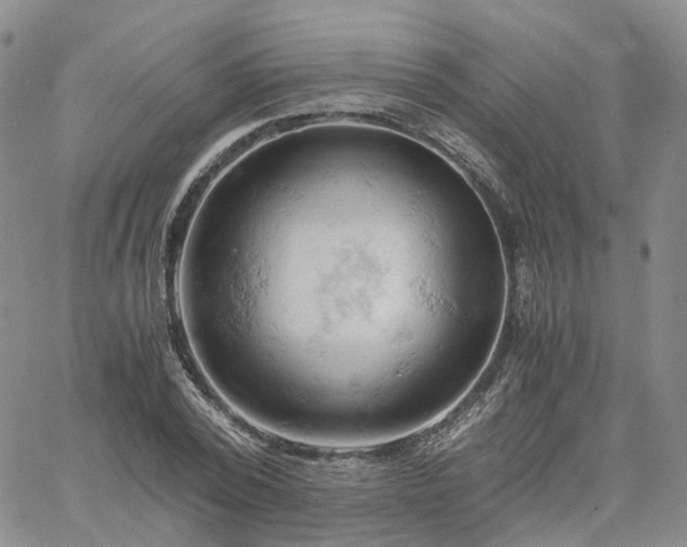 X0000061740784200512091609