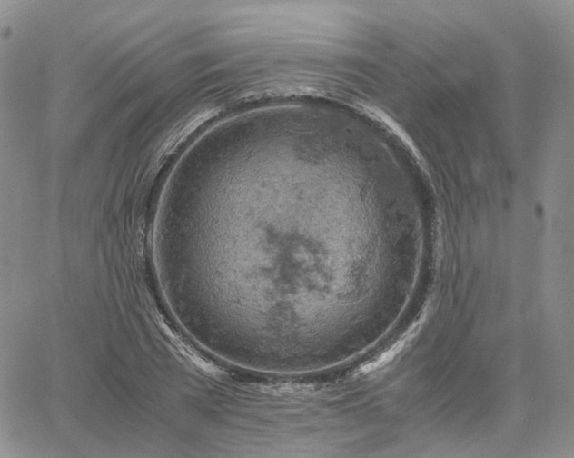 X0000061740785200512091609