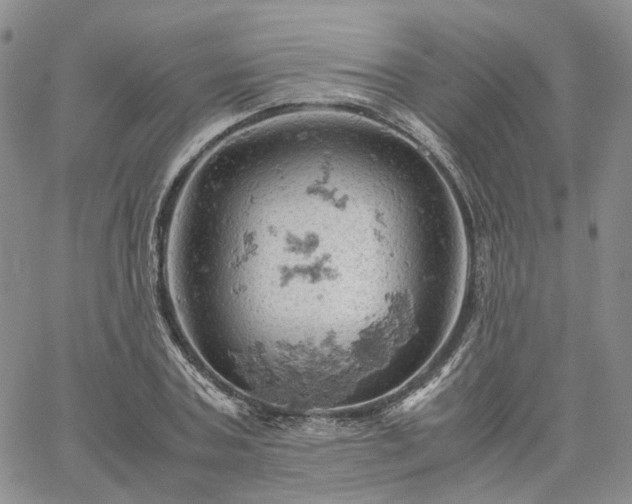 X0000061740787200512091609