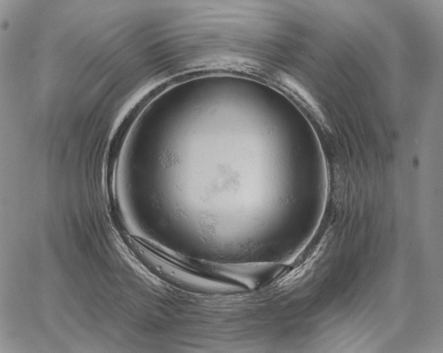 X0000061740788200512091609