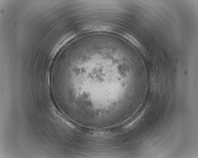 X0000061740790200512091609