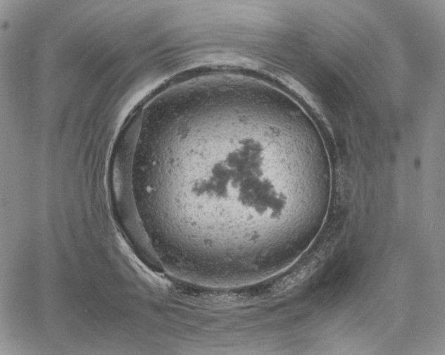 X0000061740791200512091609