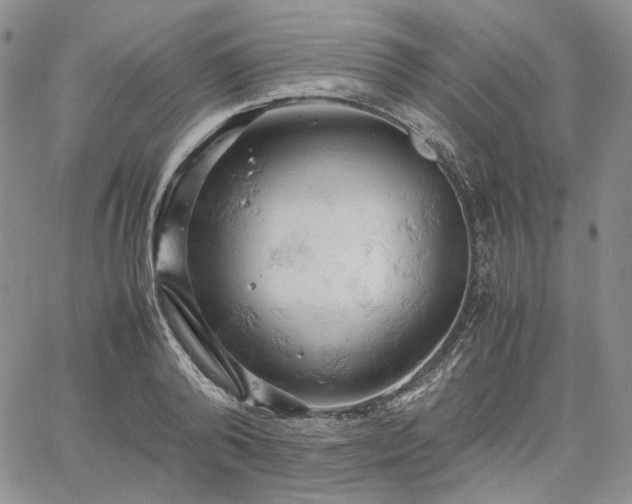 X0000061740792200512091609